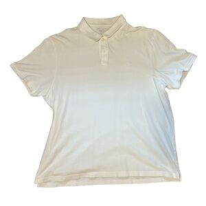 AE Standard Fit Polo